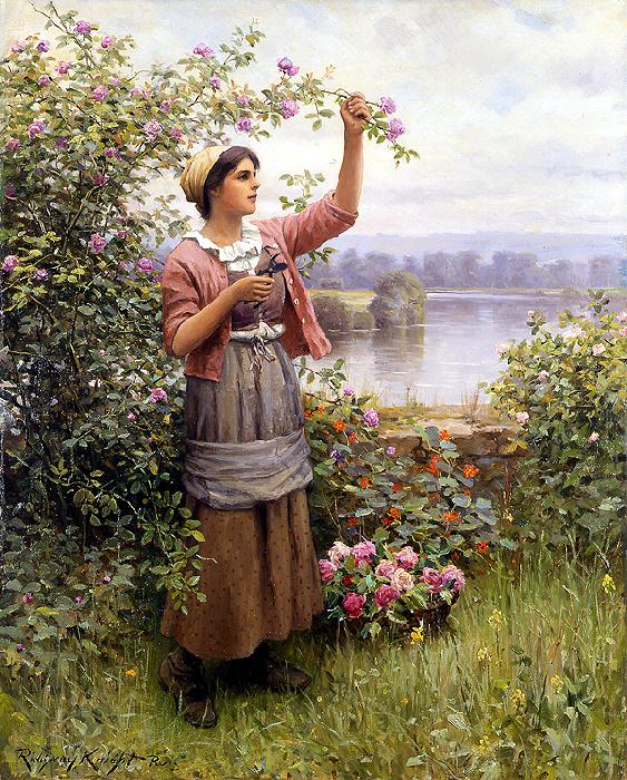 Daniel Ridgeway Knight Gathering Roses oil painting image